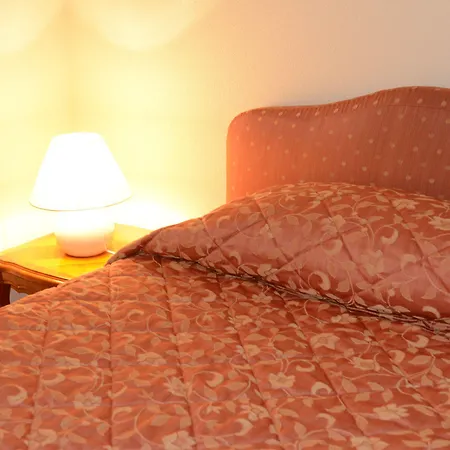 Western Centre Gare מלון פלר